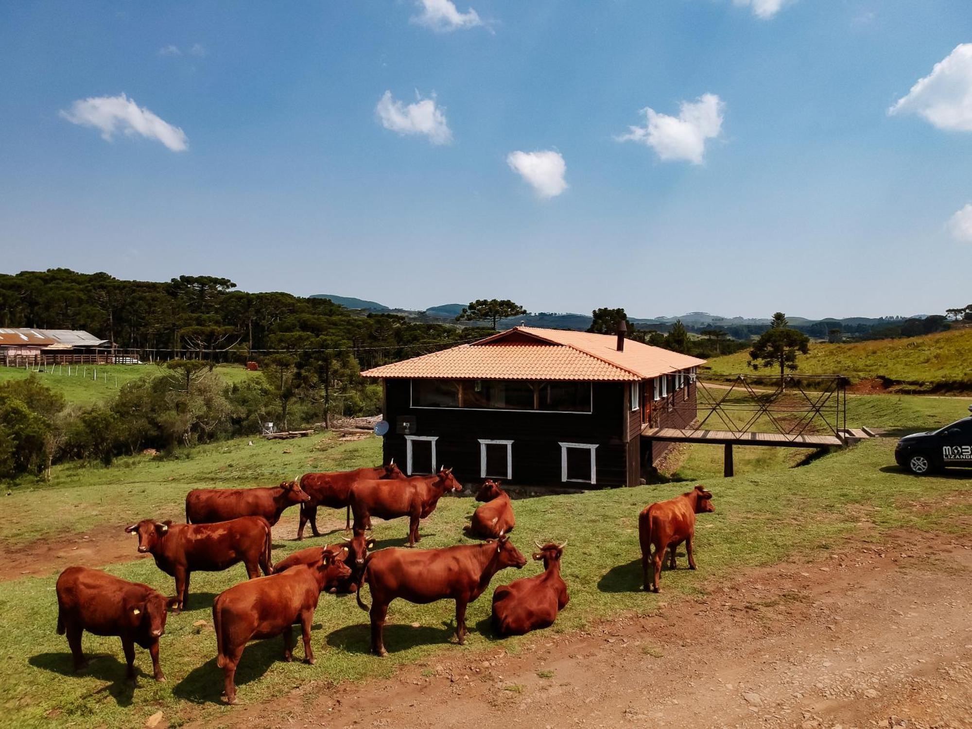 Fazenda Invernada Grande Turismo Rural Bom Jardim da Serra Exterior photo